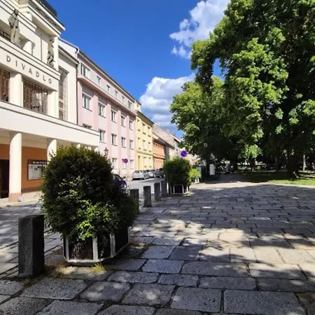 Palackeho Sady - Pohoda V Srdci Mesta Apartman *