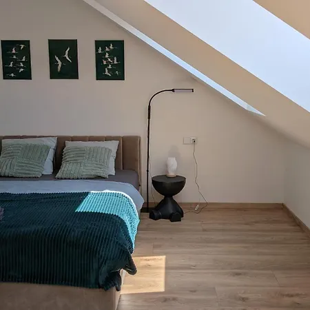Palackeho Sady - Pohoda V Srdci Mesta Apartman